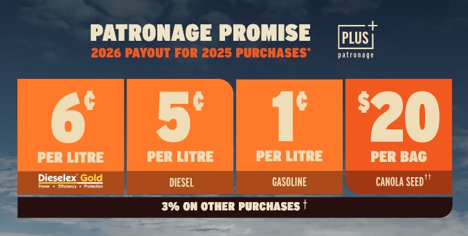Patronage Promise