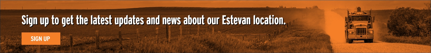 Estevan