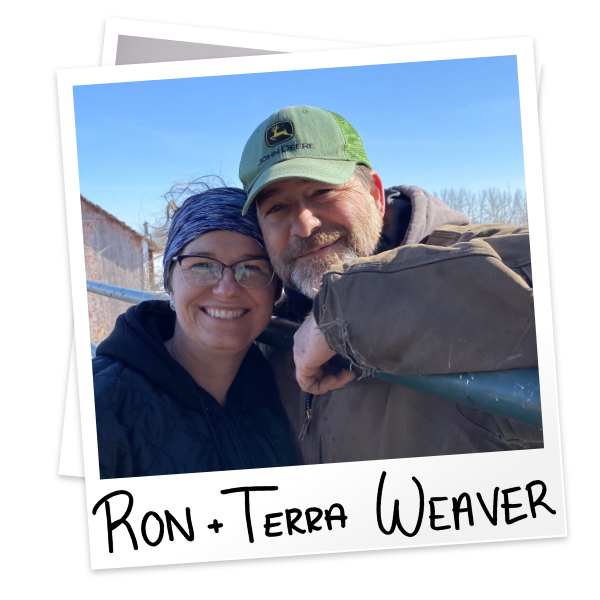 Weaver