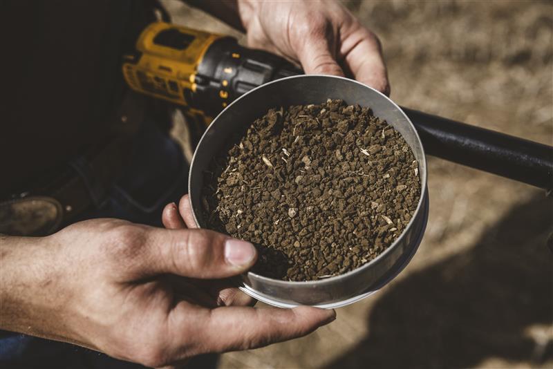 World Soil Day: Building a Sustainable Future from the Ground Up